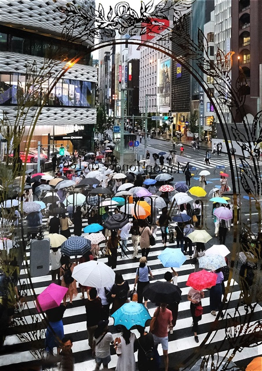 雨的色彩