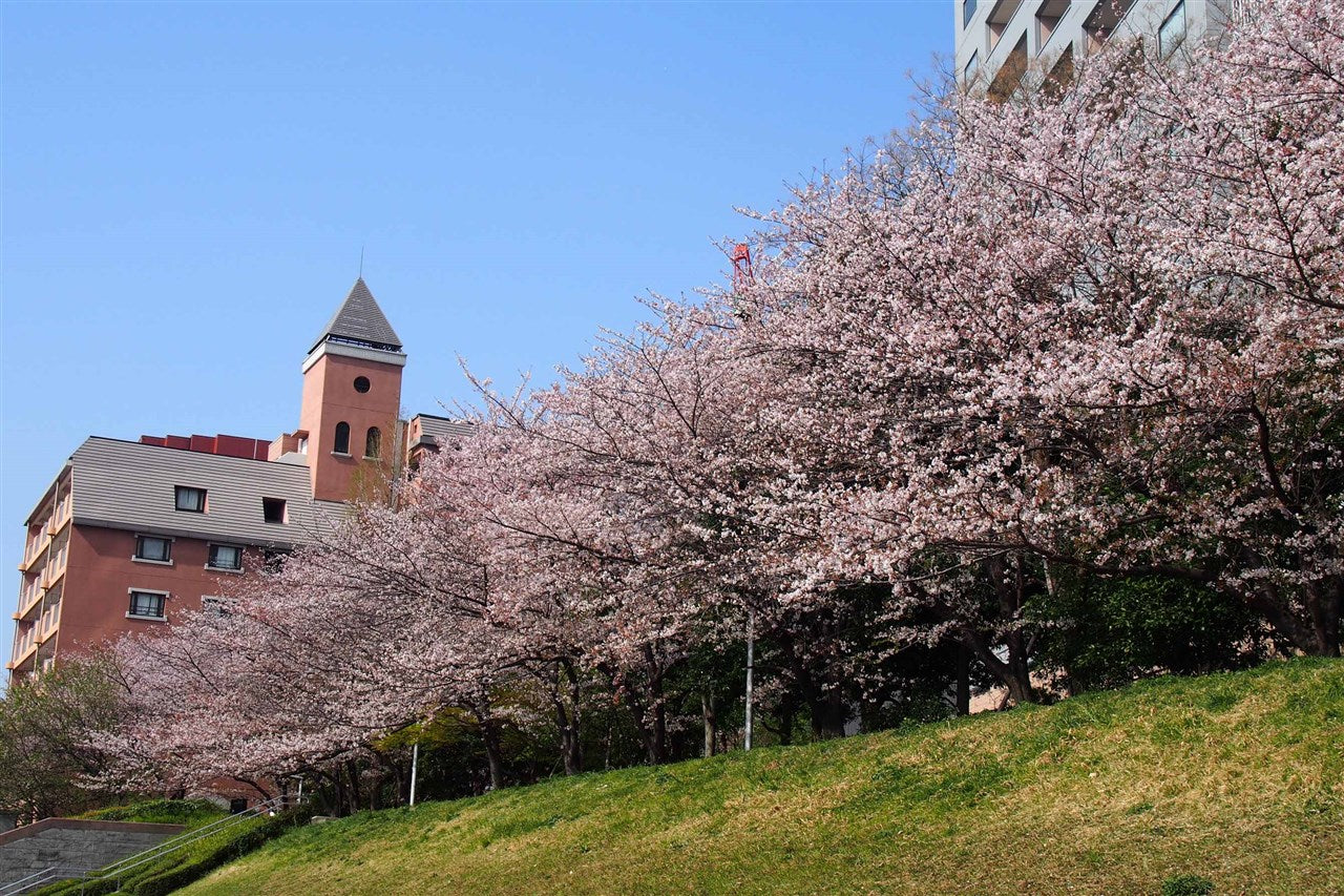 春天,明石町